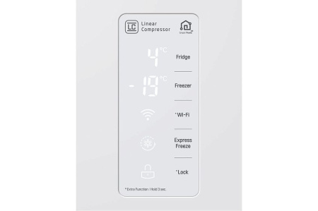 Холодильник LG GC-B247SVDC