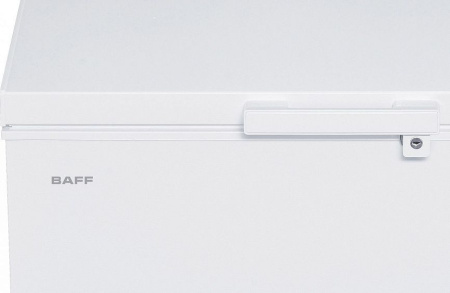 Морозильник-ларь BAFF 1CF 260L3